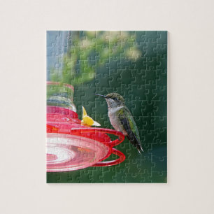 Perched Hummingbird Legpuzzel