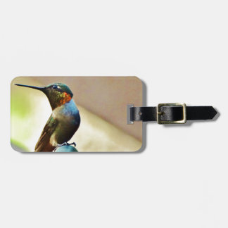 Perched Ruby en Green Little Hummingbird Bagagelabel