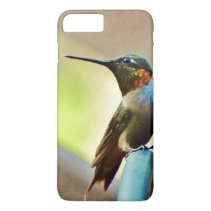 Perched Ruby en Green Little Hummingbird iPhone 8 Plus / 7 Plus Hoesje