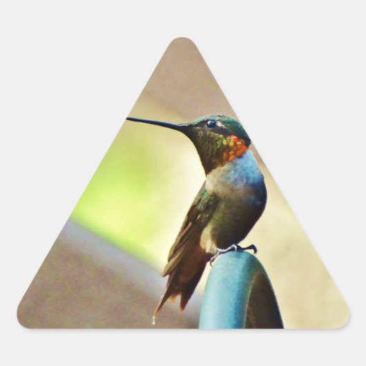 Perched Ruby en Green Little Hummingbird Driehoek Sticker (Voorkant)