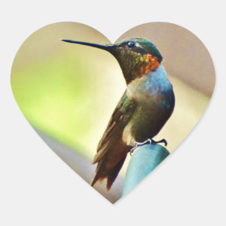 Perched Ruby en Green Little Hummingbird Hart Sticker
