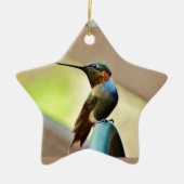 Perched Ruby en Green Little Hummingbird Keramisch Ornament (Voorkant)