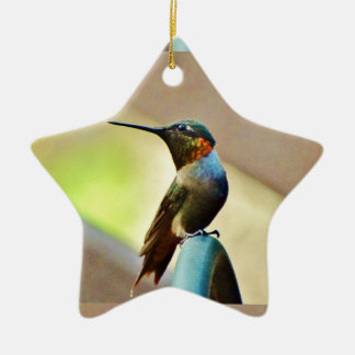 Perched Ruby en Green Little Hummingbird Keramisch Ornament