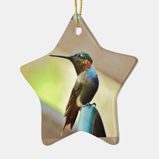 Perched Ruby en Green Little Hummingbird Keramisch Ornament (Links)