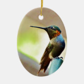 Perched Ruby en Green Little Hummingbird Keramisch Ornament (Voorkant)