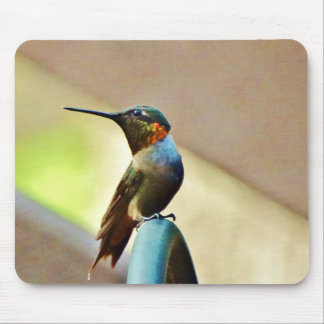 Perched Ruby en Green Little Hummingbird Muismat