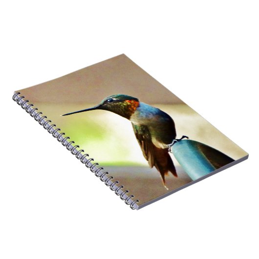 Perched Ruby en Green Little Hummingbird Notitieboek (Rechterzijde)