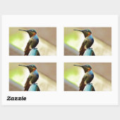 Perched Ruby en Green Little Hummingbird Rechthoekige Sticker (Vel)