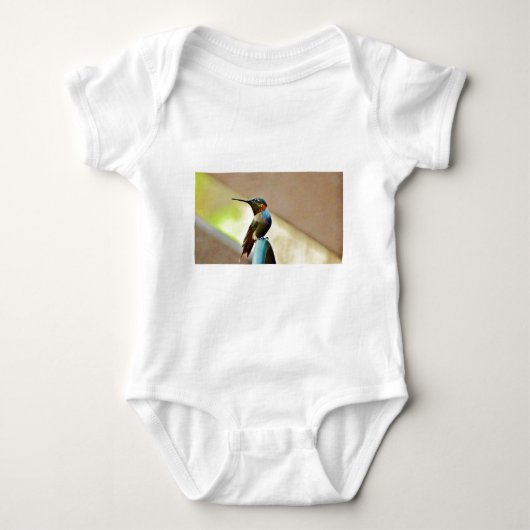 Perched Ruby en Green Little Hummingbird Romper (Voorkant)