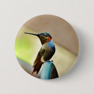 Perched Ruby en Green Little Hummingbird Ronde Button 5,7 Cm