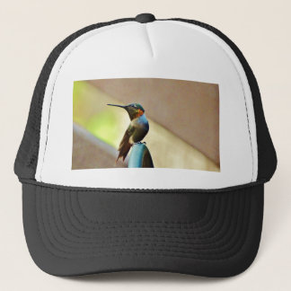 Perched Ruby en Green Little Hummingbird Trucker Pet