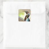 Perched Ruby en Green Little Hummingbird Vierkante Sticker (Tas)