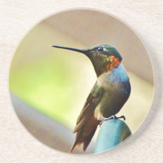 Perched Ruby en Green Little Hummingbird Zandsteen Onderzetter