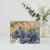 Percheron-briefkaart Briefkaart (Staand voorkant)