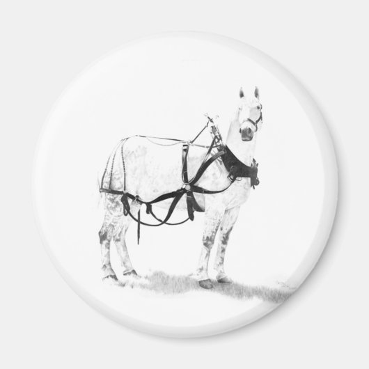 Percheron Brouillon Cheval Equine Art Magnets (Devant)