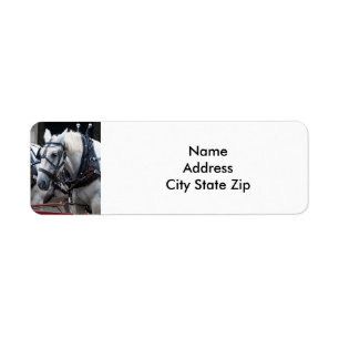 Percheron Draft Horse Etiket