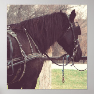 Percheron, Faux Poster