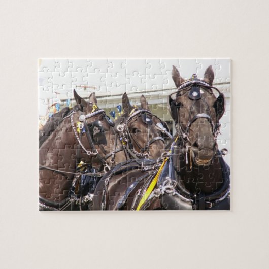 Percheron Horse Legpuzzel (Horizontaal)