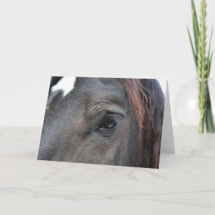 Percheron horse wenskaart kaart