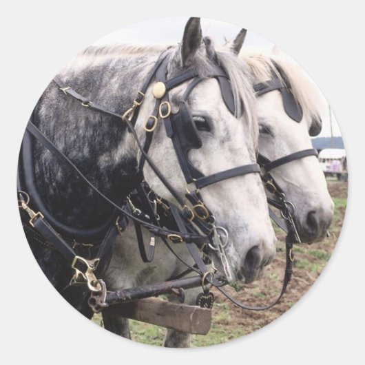 Percheron Tandem Ronde Sticker (Voorkant)