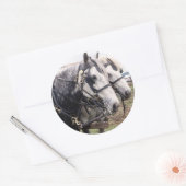 Percheron Tandem Ronde Sticker (Envelop)