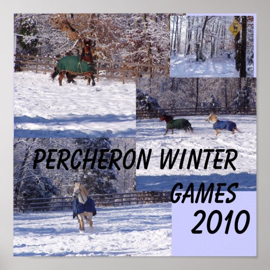 PERCHERON WINTER GAMES, 2013 POSTER (Voorkant)
