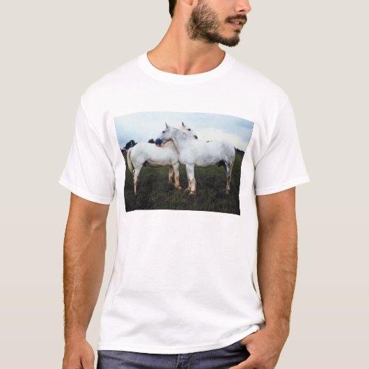Percherons die elkaar kweken t-shirt (Voorkant)