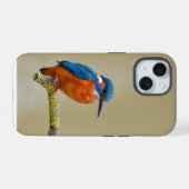 Perching Kingfisher (Verso Horizontal)