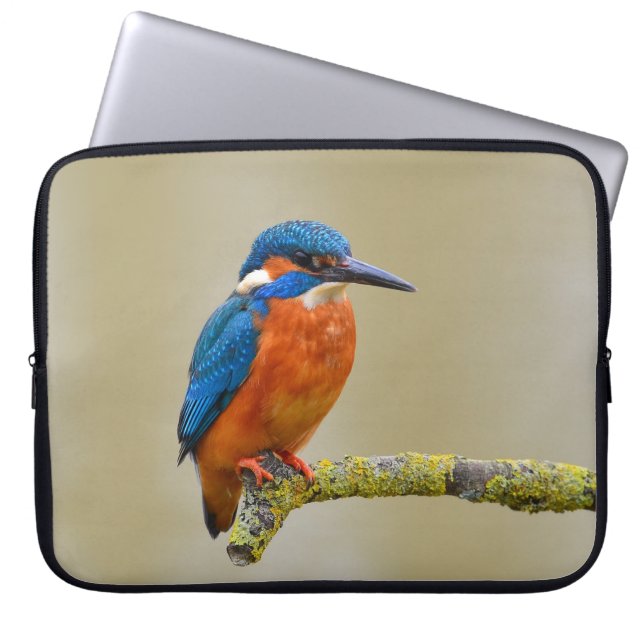 Perching Kingfisher Laptop Sleeve (Voorkant)