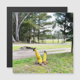 Perdu dans le jardin à nouveau carte magnétique