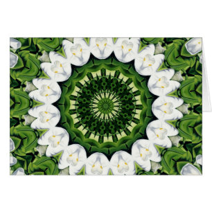 Perdu dans le paradis