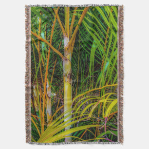 Perdu en Areca Palms Jeter la couverture