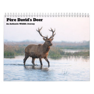 Père David's herten 2027 wandkalender Kalender