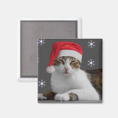 Père Noël Cat Magnet (Recto/Verso)