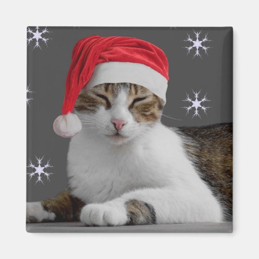 Père Noël Cat Magnet (Devant)