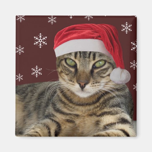 Père Noël Cat Magnet (Devant)
