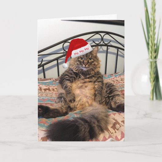Père Noël Cat obtient des cookies Carte de Noël (Devant)