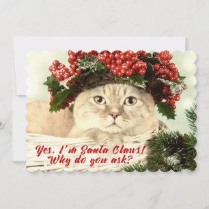 Père Noël "Claws" Chat de Noël Carte à deux côtés