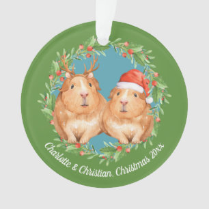 Père Noël de cochons de Guinée et Noël de la couro