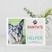 Père Noël Helper - Pet Photo Vacances Cartes Plat (Debout devant)