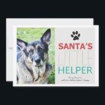 Père Noël Helper - Pet Photo Vacances Cartes Plat<br><div class="desc">Ils sont festifs et parfaits pour cette période de vacances !</div>