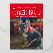 Père Noël, j'ai été Nice-Ish Pet Foil Carte de vac (Recto)