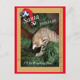 Père Noël Le Chat Vous Regardera Carte Postale