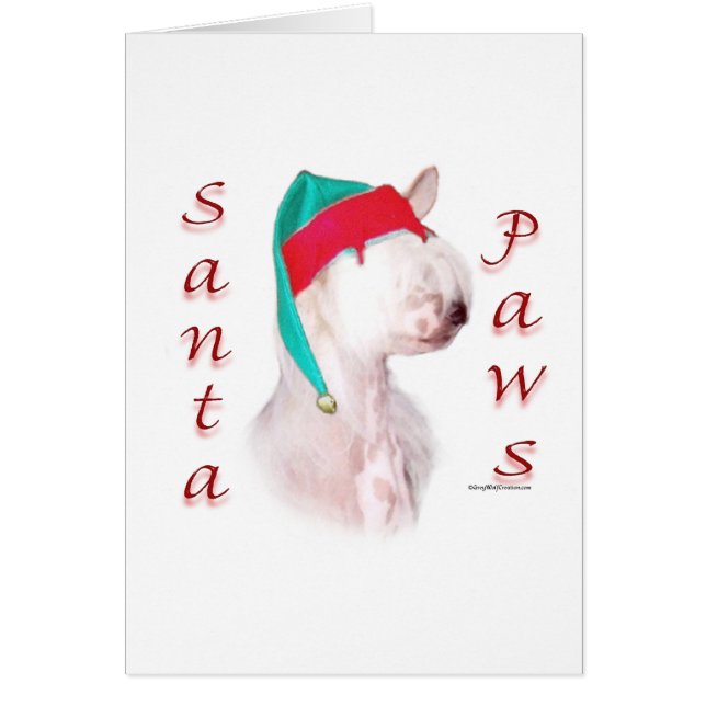 Père Noël Paws Chinois (Devant)