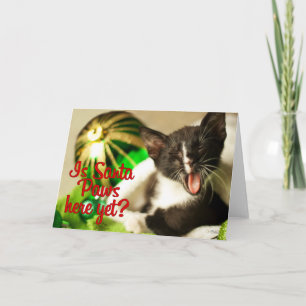 Père Noël Paws Est-Il Encore Là ? Carte