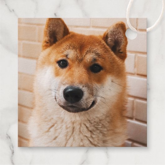 Père Noël Paws - mignonne étiquette cadeau de vaca (Dos)