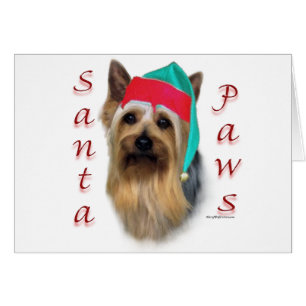 Père Noël Paws Silky Terrier