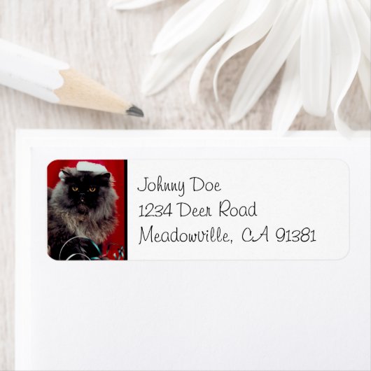 Père Noël Perse Étiquette de Noël (En situation)