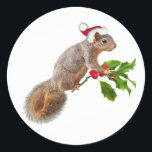 Père Noël Squirrel avec Stickers Holly Christmas<br><div class="desc">Un petit écureuil de Père Noël tient un écureuil rouge et vert. Utilisez cet autocollant d'écureuil sucré sur vos cartes de fin de année.</div>