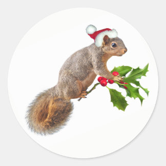 Père Noël Squirrel avec Stickers Holly Christmas
